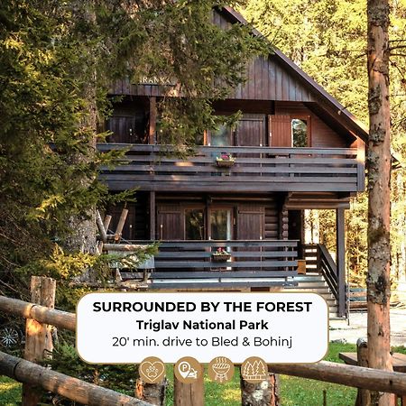 Forest Apartments Pokljuka Zgornje Gorje Buitenkant foto