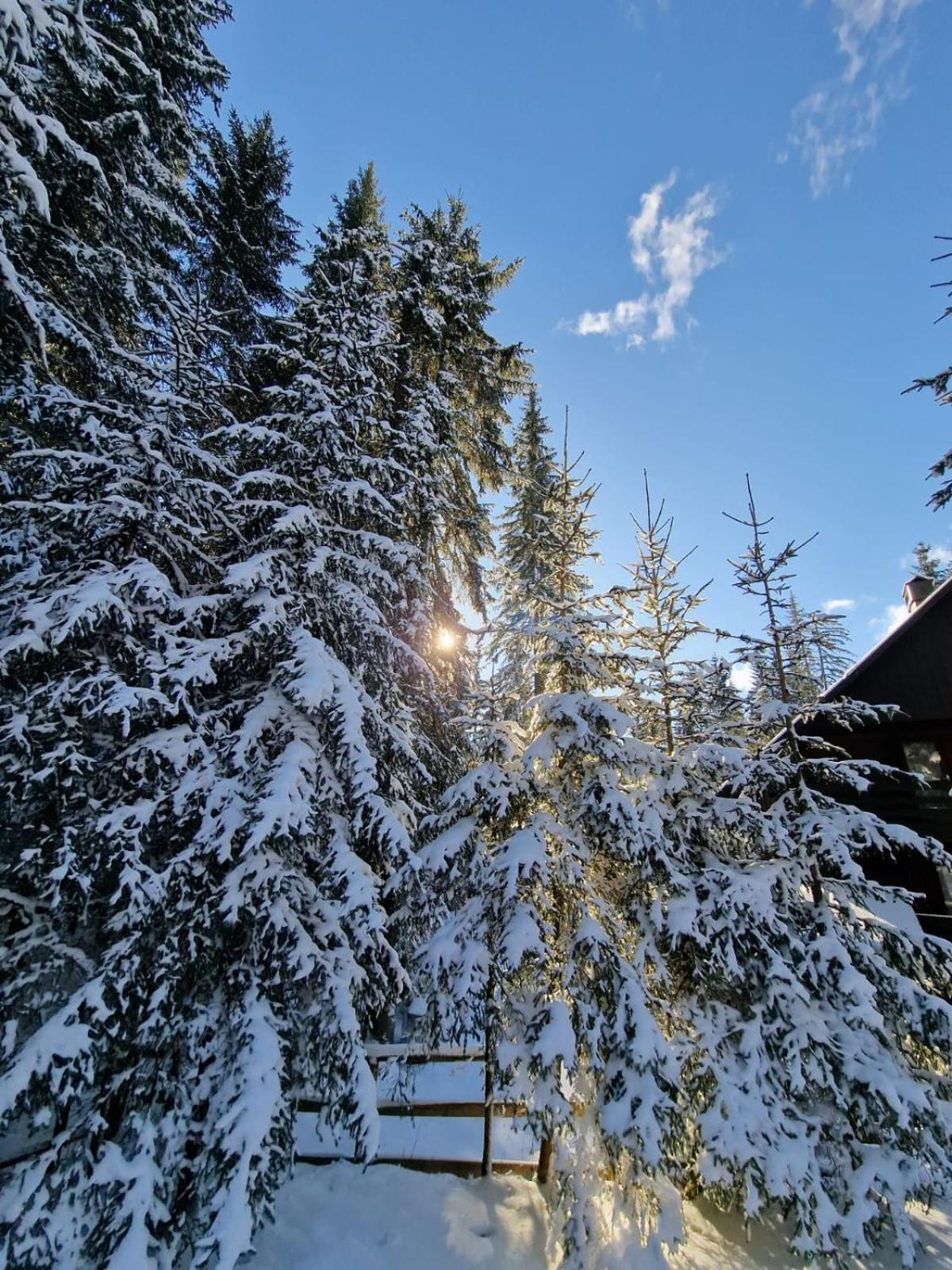 Forest Apartments Pokljuka Zgornje Gorje Buitenkant foto