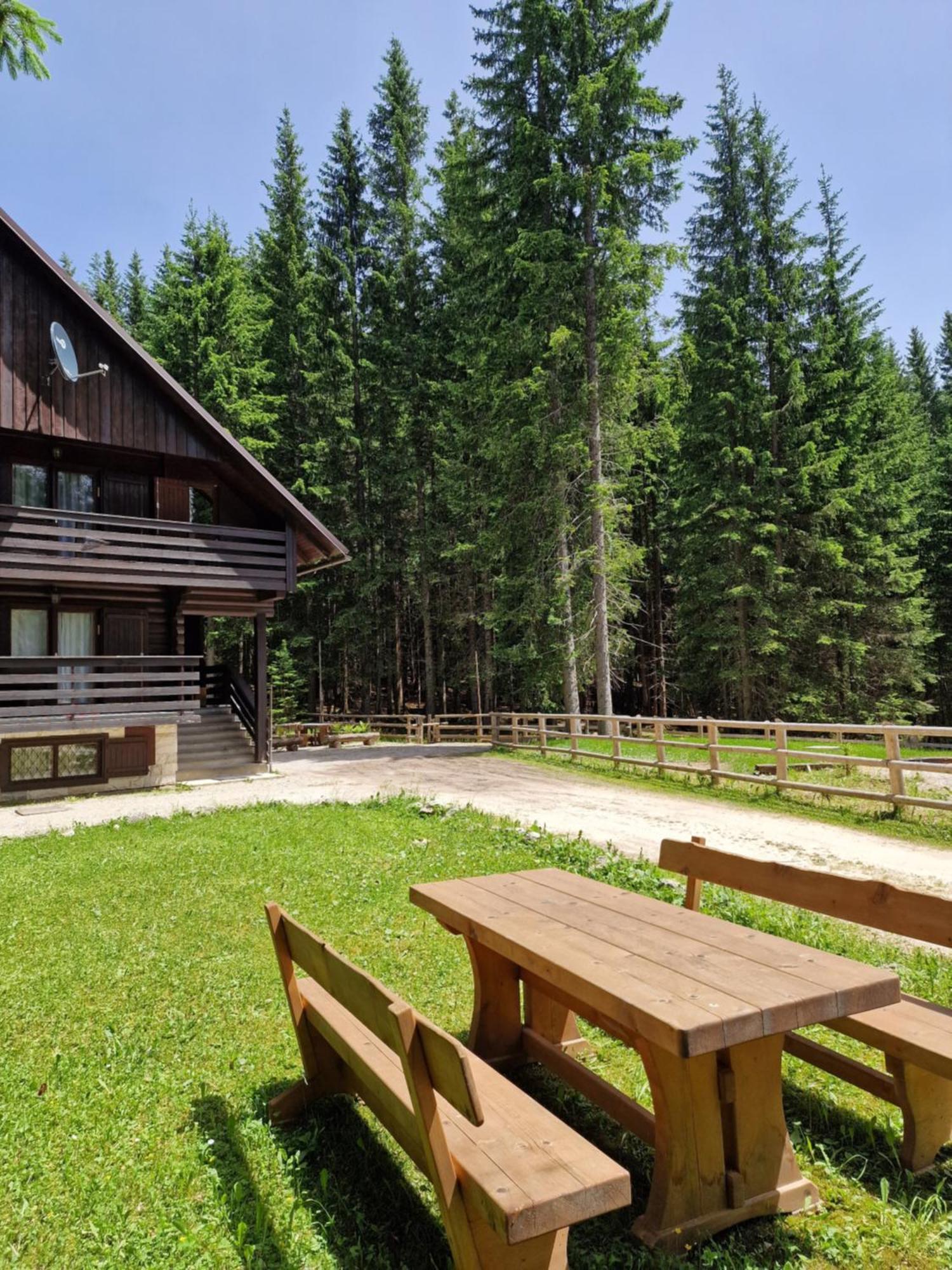 Forest Apartments Pokljuka Zgornje Gorje Buitenkant foto