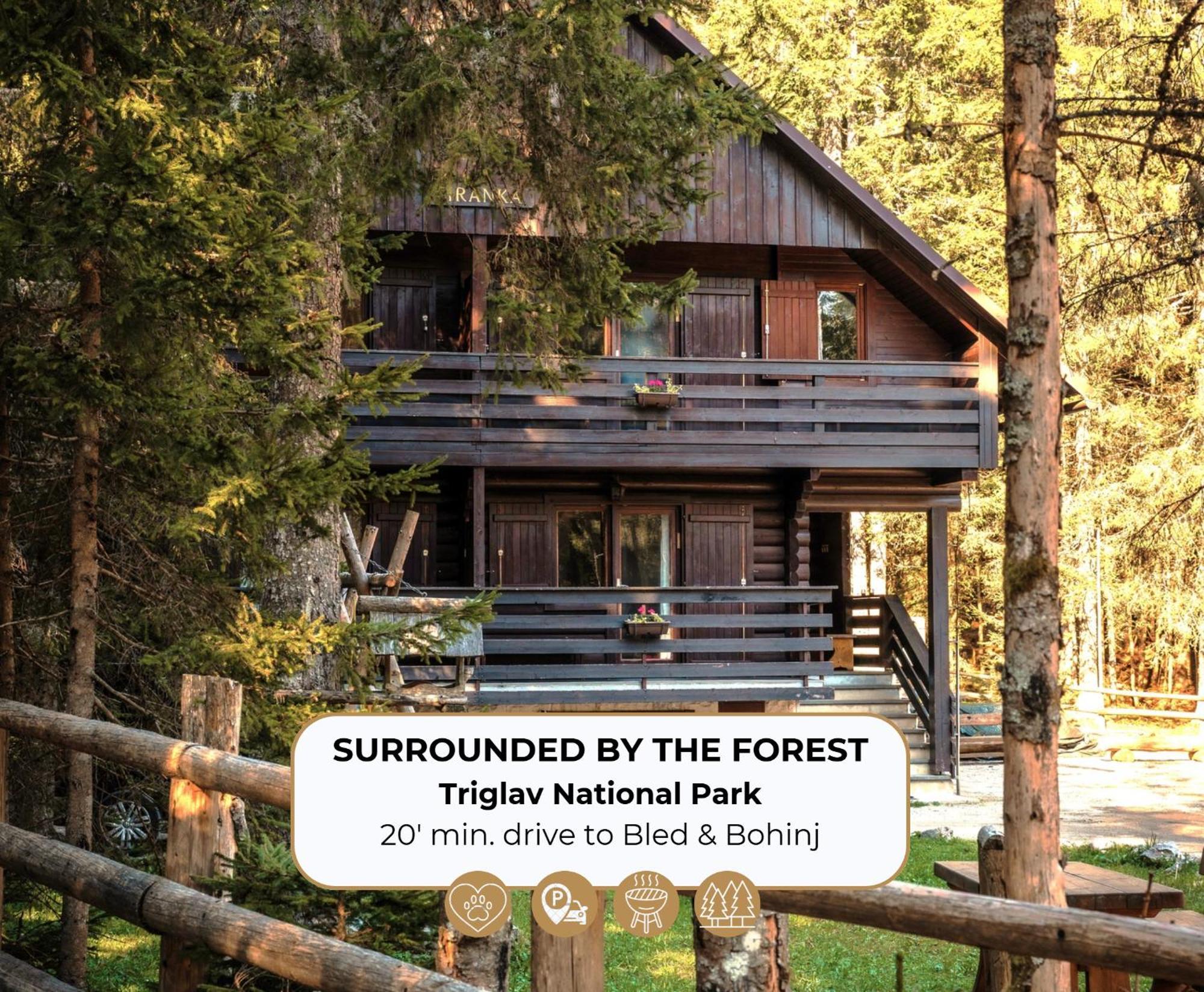 Forest Apartments Pokljuka Zgornje Gorje Buitenkant foto