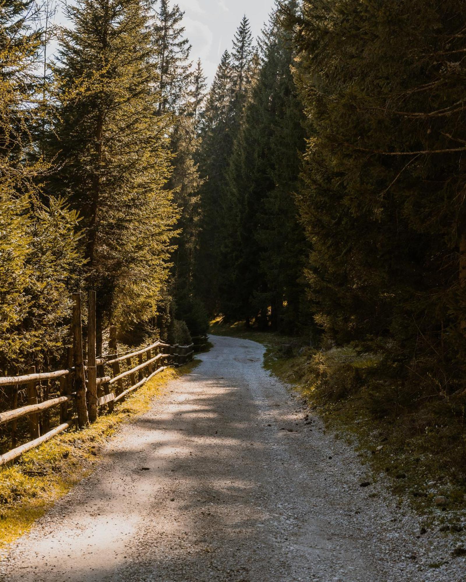 Forest Apartments Pokljuka Zgornje Gorje Buitenkant foto